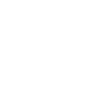inverse auto insurance icon