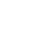 business briefcase_inverse_sm