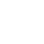 inverse auto insurance icon