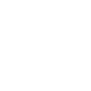inverse auto insurance icon