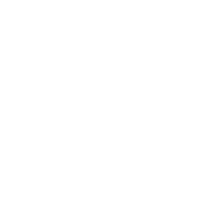 inverse auto insurance icon