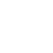 business briefcase_inverse_lg