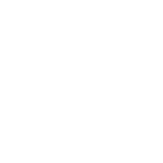 inverse palm tree travel vacation icon