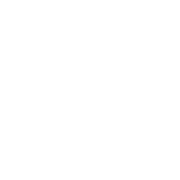 inverse registry document icon