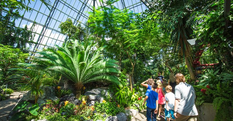 Build the Perfect 3-Day Itinerary in Edmonton - AMA Travel