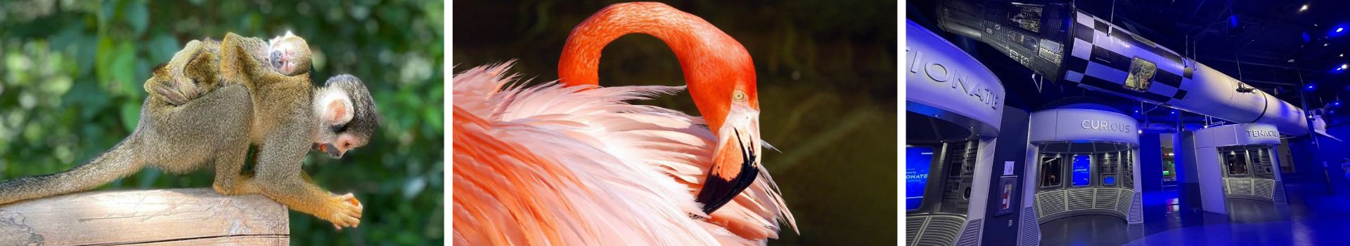 If You Already Know About These Hidden and Upcoming Florida Activities, You’re a Florida Expert 