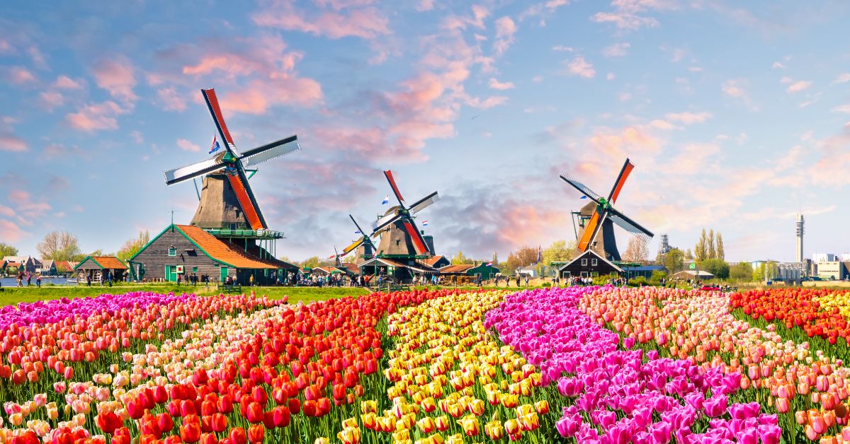 The Netherlands Travel Guide for Beginners