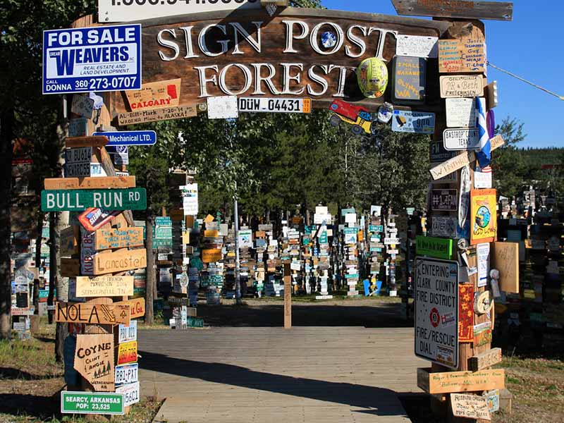 The Perfect Alaska Highway Road Trip | AMA Travel